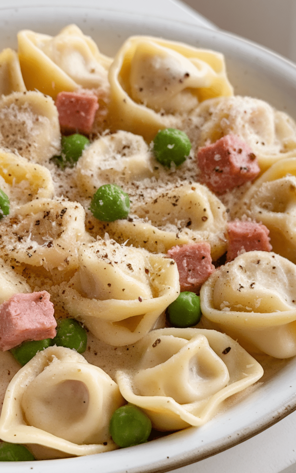 Cheese Tortellini