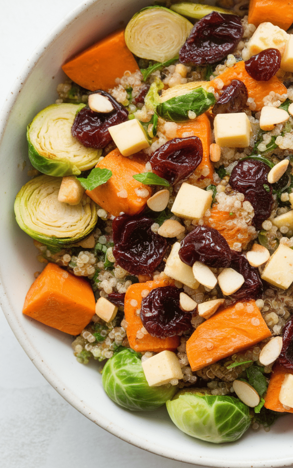 Roasted Vegetable
